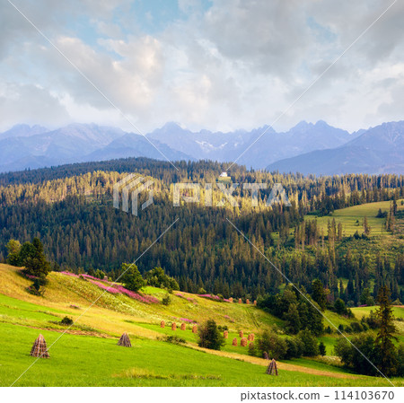 Summer mountain country view Summer mountain country view 114103670