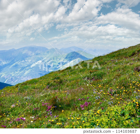 Summer Tatra Mountain, Poland 114103687