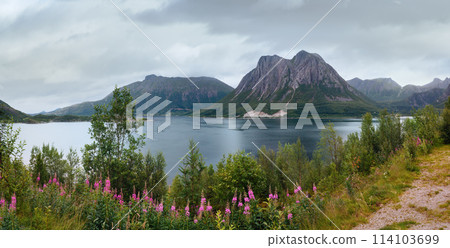 Fjord summer cloudy panorama (Norway) 114103699