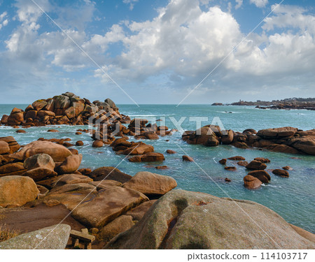 Ploumanach coast view (Brittany, France) 114103717