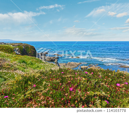Atlantic blossoming coastline (Spain). 114103778