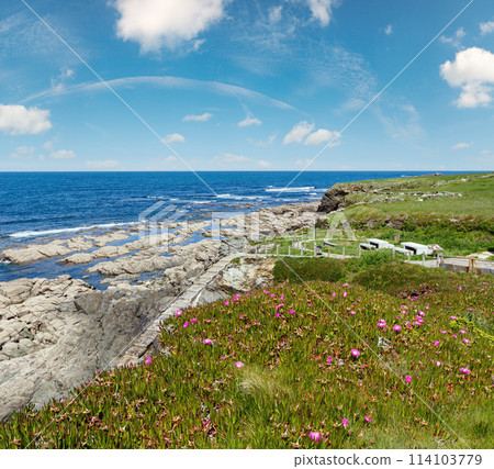 Atlantic blossoming coastline (Spain). Atlantic blossoming coastline (Spain). 114103779