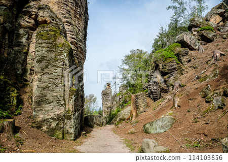 Prachov rocks, Prachovske skaly, in Bohemian Paradise, Cesky raj, Czech Republic 114103856
