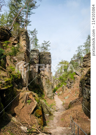 Prachov rocks, Prachovske skaly, in Bohemian Paradise, Cesky raj, Czech Republic 114103864