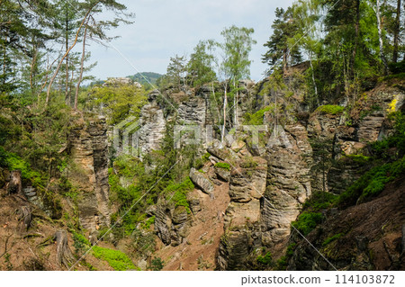 Prachov rocks, Prachovske skaly, in Bohemian Paradise, Cesky raj, Czech Republic 114103872