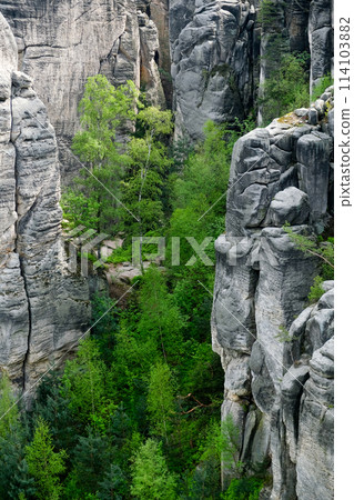 Prachov rocks, Prachovske skaly, in Bohemian Paradise, Cesky raj, Czech Republic 114103882