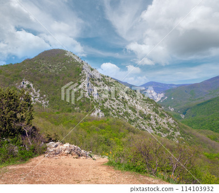 Spring Mountain landscape . Spring Mountain landscape . 114103932