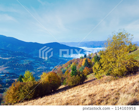autumn mountain forest autumn mountain forest 114103958