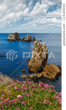 Arnia Beach coastline landscape. 114104010