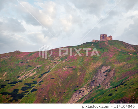 Pip Ivan mount and observatory and rhododendron flowers on slope 114104046