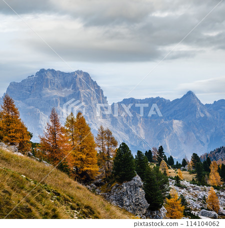 Cloudy morning autumn alpine Dolomites mountain scene. Peaceful view near Valparola and Falzarego Path, Belluno, Italy. 114104062