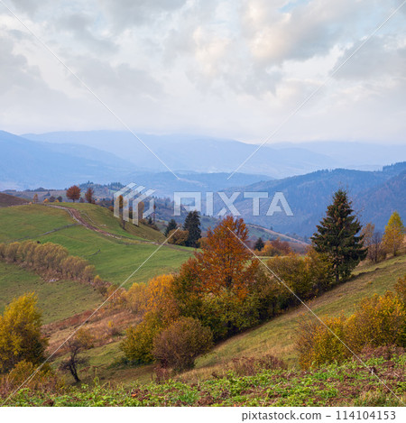 Cloudy and foggy day autumn mountains scene. Peaceful picturesque traveling, seasonal, nature and countryside beauty concept scene. Carpathian Mountains, Ukraine. 114104153