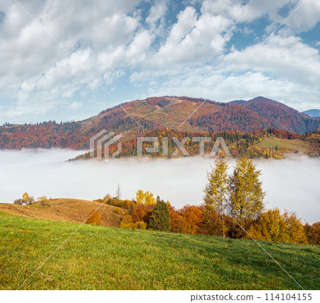 Morning foggy clouds in autumn mountain countryside.  Ukraine, Carpathian Mountains, Transcarpathia. 114104155