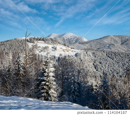 Winter Gorgany massiv mountains scenery view from Yablunytsia pass, Carpathians, Ukraine. 114104187