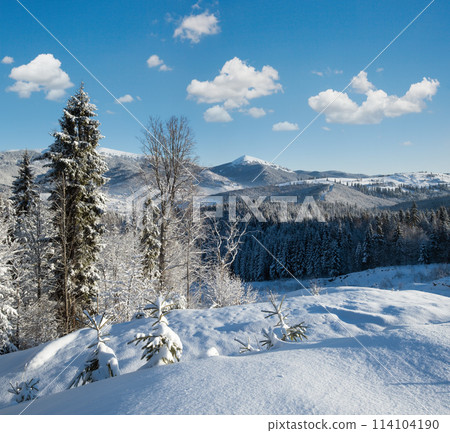 Winter Gorgany massiv mountains scenery view from Yablunytsia pass, Carpathians, Ukraine. 114104190