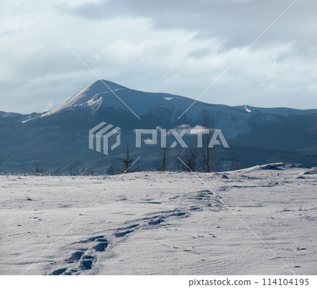 Winter Chornohora massiv mountains scenery view from Yablunytsia pass, Carpathians, Ukraine. Winter Chornohora massiv mountains scenery view from Yablunytsia pass, Carpathians, Ukraine. 114104195