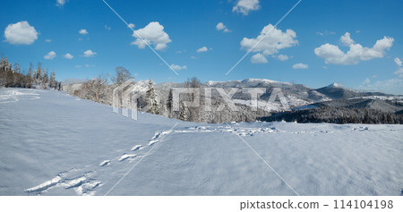 Winter Gorgany massiv mountains scenery view from Yablunytsia pass, Carpathians, Ukraine. 114104198