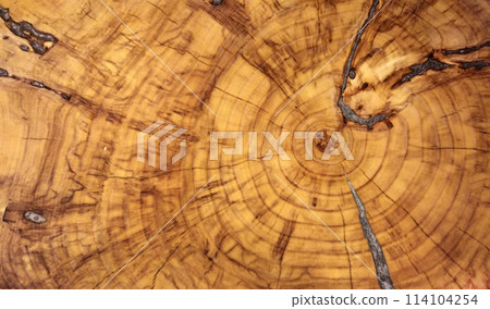 Texture cut wood. Beautiful wooden background. Concept image. 114104254