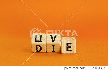 Live or die symbol. Concept word Live or Die on wooden cubes. Beautiful orange table orange background. Business lifestyle and live or die concept. Copy space. Live or die symbol. Concept word Live or Die on wooden cubes. Beautiful orange table orange background. Business lifestyle and live or die concept. Copy space. 114104384