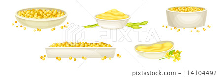 Mustard Yellow Spice and Condiment Vector Set 114104492