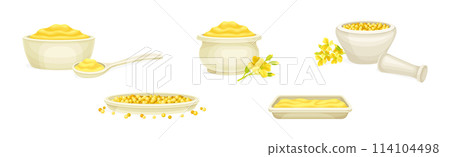 Mustard Yellow Spice and Condiment Vector Set 114104498
