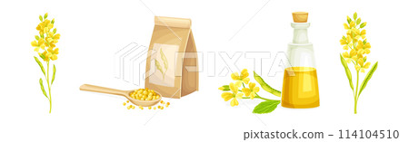 Mustard Yellow Spice and Condiment Vector Set 114104510