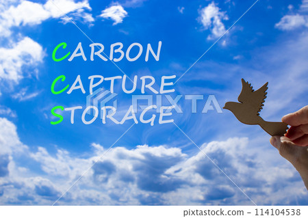 CCS Carbon capture storage symbol. Concept words CCS Carbon capture storage on beautiful blue sky clouds background. Wooden bird. Business ecological Carbon capture storage concept. Copy space. CCS Carbon capture storage symbol. Concept words CCS Carbon capture storage on beautiful blue sky clouds background. Wooden bird. Business ecological Carbon capture storage concept. Copy space. 114104538