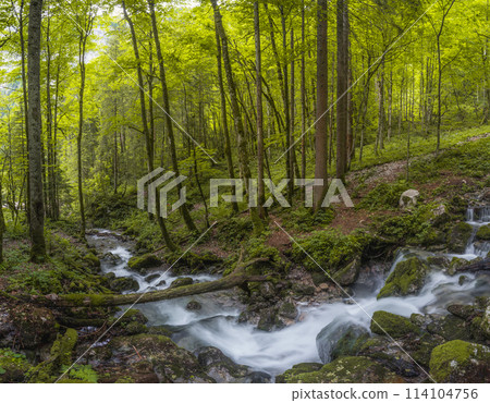 Rothbach Waterfall near Konigssee lake in Berchtesgaden National Park, Germany 114104756