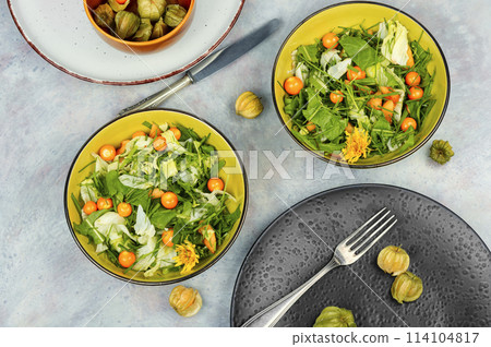 Salad from wild plants and physalis. Salad from wild plants and physalis. 114104817