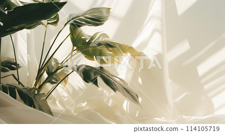 Green plant in white vase on window sill 114105719