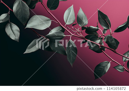 Green leaves branch on pink background 114105872