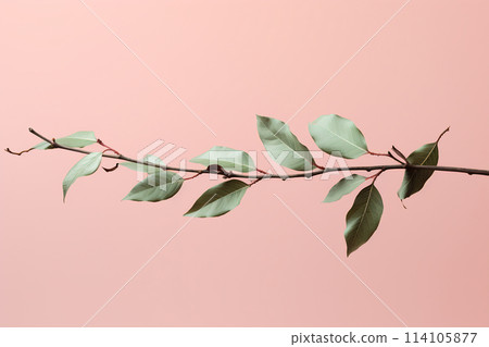 Green leaves branch on pink background 114105877