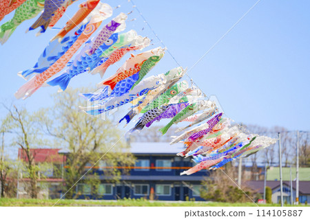 Carp streamer 114105887