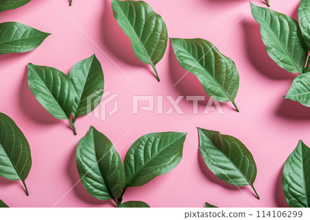 Group of green leaves on pink background 114106299