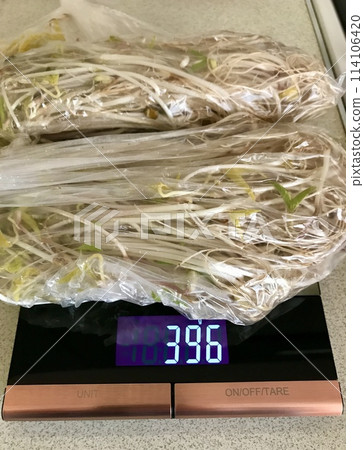 Mound of sprouted mung beans with small roots for eating is located on black scales on the table. Concept of diet, vegetarianism, vegan, healthy products and proper nutrition. Close-up Mound of sprouted mung beans with small roots for eating is located on black scales on the table. Concept of diet, vegetarianism, vegan, healthy products and proper nutrition. Close-up 114106420