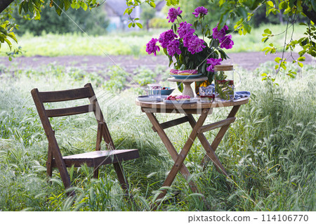 garden and tea party 114106770