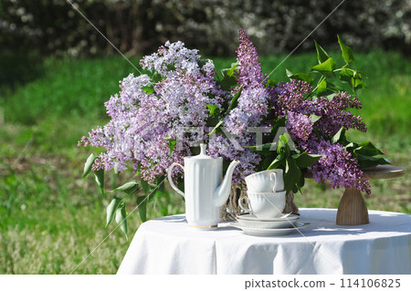 garden and tea party 114106825