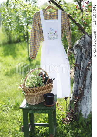 flowers for planting 114107046