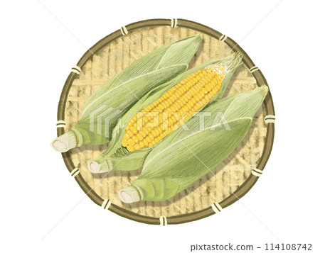 Corn (3 corn) with colander 114108742