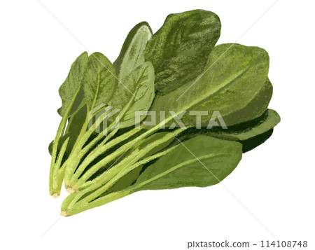 spinach spinach 114108748