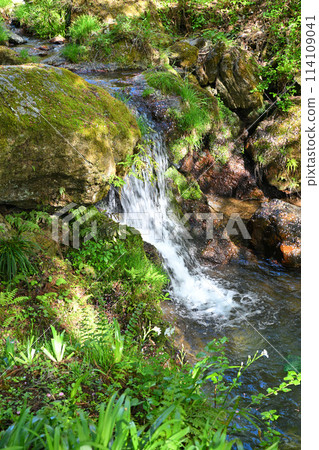 Mukaenotaki Falls - Early summer atmosphere - Mitakigawa River - Scenery from the forest road to Kuroyama Mitaki Falls 114109041