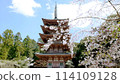 櫻花、醍醐寺五層寶塔 114109128