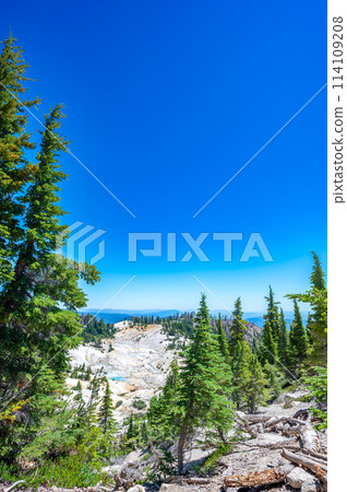 Selective focus of evergreens with distant view of Bumpass Hell hydrothermal area at Lassen Volcanic National Park, California, USA 114109208
