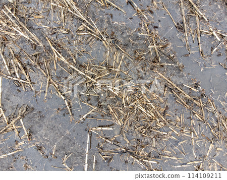 drone view above an agriculture field with standing water in the spring.  114109211