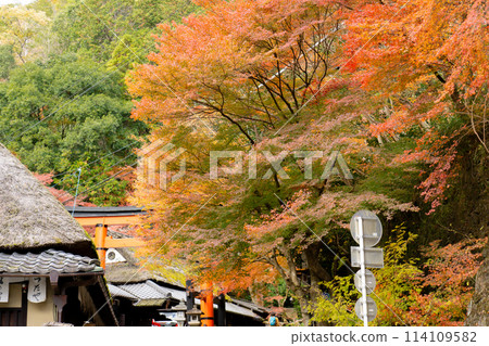 京都市右京區的愛宕街道、佐賀鳥居元千町、愛宕神社的第一個鳥居與秋葉 114109582