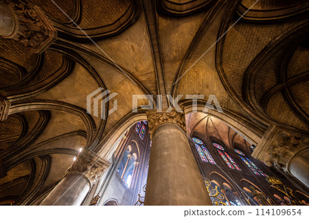 Notre Dame cathedral in Paris, France 114109654