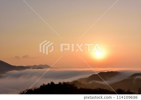 從田野原展望台看到的兩國雲海 從田野原展望台看到的兩國雲海 114109686