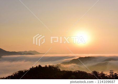 從田野原展望台看到的兩國雲海 從田野原展望台看到的兩國雲海 114109687