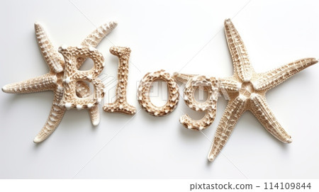 The word Blog created in Starfish Shell Letters. 114109844