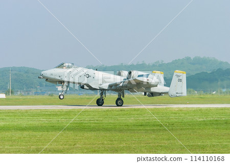 United States Air Force A-10A Thunderbolt II Landing United States Air Force A-10A Thunderbolt II Landing 114110168